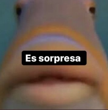 itsD3lay's tweet photo. yo dando una sorpresa https://t.co/OavM9p2wHZ