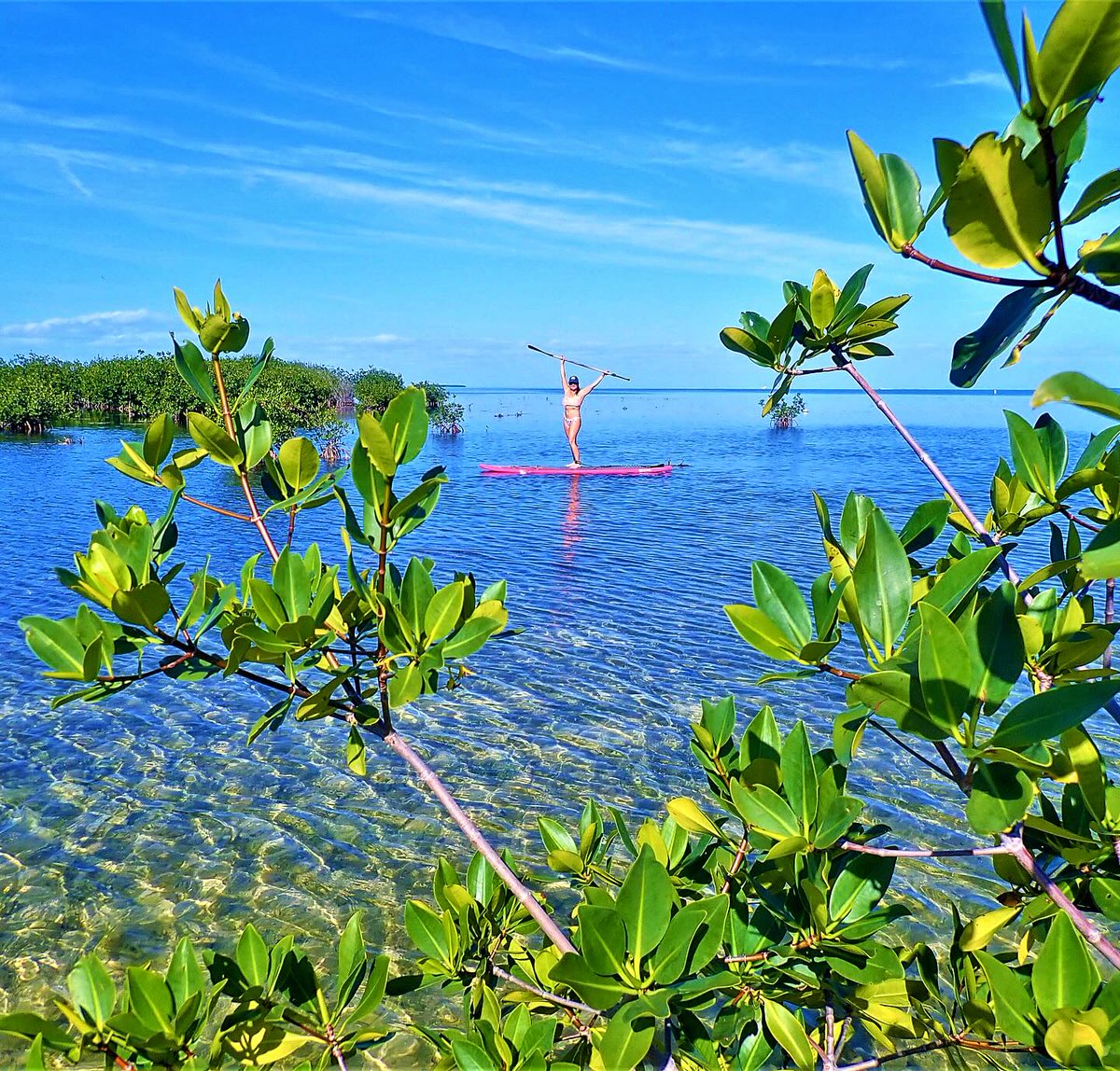 I bet they aren't paddle boarding in Forgo this morning. Gary McAdams, Key West Realtor, eXp Realty, (305) 731-0501

#keywest #keywestrealestate #keywestrealtor #garymcadams #garymcadamsrealtor #FloridaKeysRealEstate #MLS #garymcadamskeywest #realestate #floridakeys #KeyWestHomes