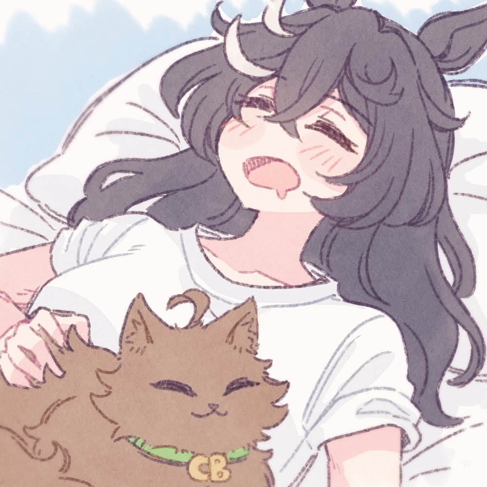 umAkami22's tweet photo. シビエス 🐶🅰️🐱🎩 #ウマ娘 https://t.co/XSv6QHOHGP