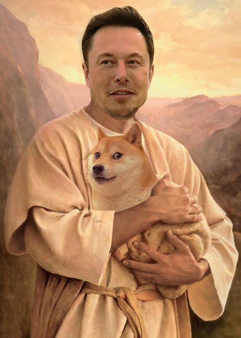 I love puppies $puppies tweet media