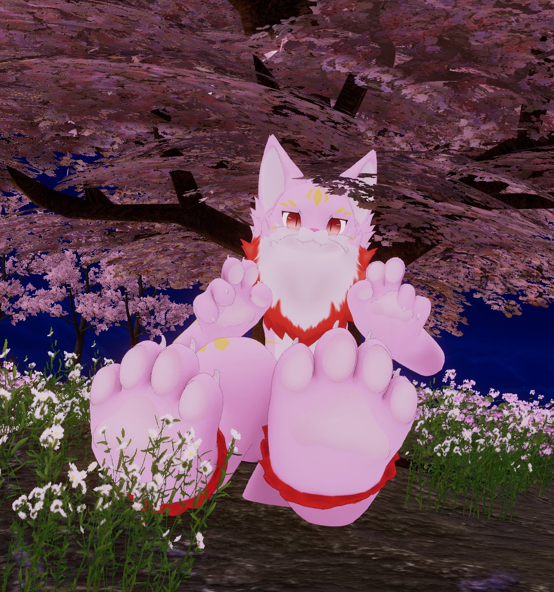 kurena89's tweet photo. 固定用キャラ紹介🐈🦈🐻‍❄️

メインクーンのバロン🐈
サメマンタドラゴンのマノン🦈🐉
しろくまのクリム🐻‍❄️🍦 https://t.co/oIvIDOpfVz