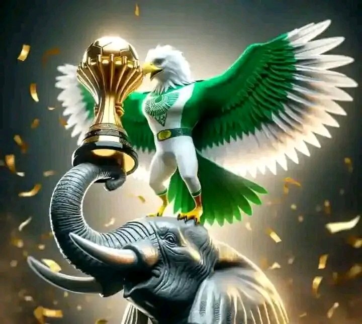 @boniface_jrn Egypt 🇪🇬 has gone home ❌️ Ghana 🇬🇭 gone home ❌️ Cameroon 🇨🇲 gone home ❌️ Senegal 🇸🇳 gone home ❌️ Tunisia 🇹🇳 gone home ❌️ Morocco 🇲🇦 gone home ❌️ Algeria 🇩🇿 gone home ❌️ Nigeria 🇳🇬 WILL ALSO GO HOME, BUT WITH THE AFCON TROPHY