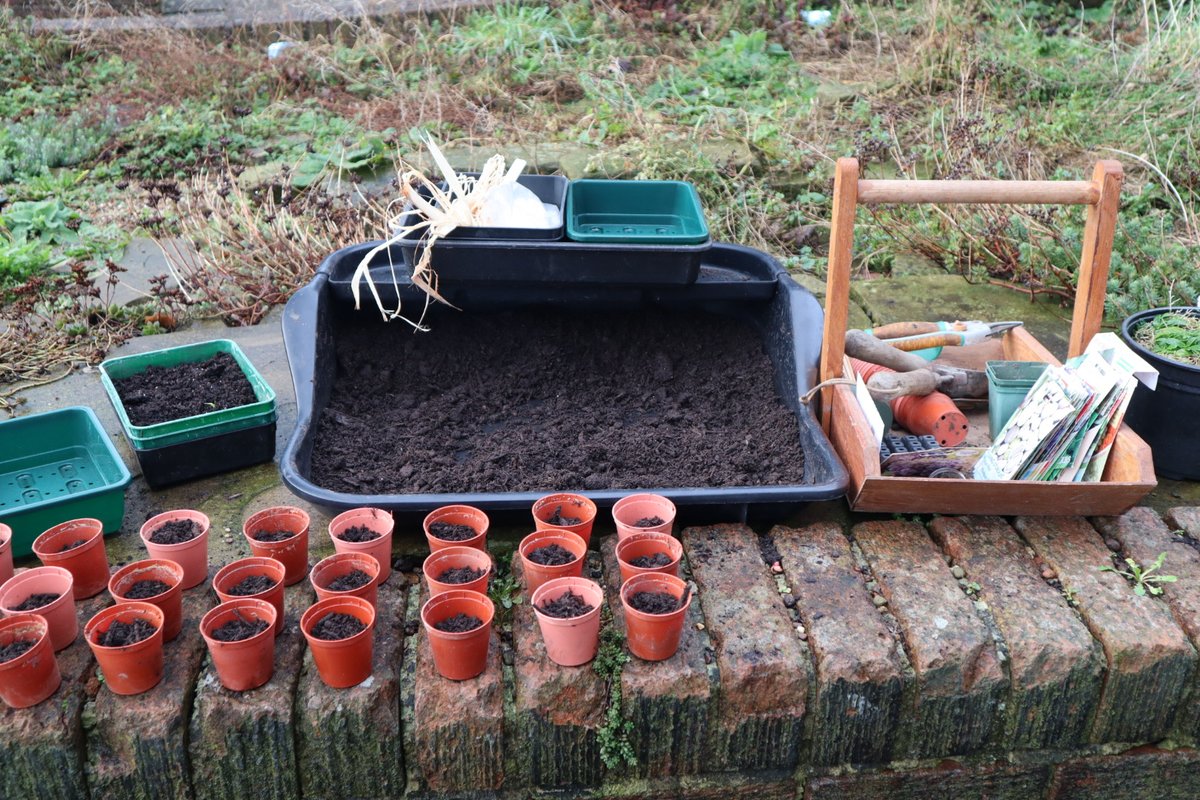 Damp Sunday morning in February. Planning for the summer.
