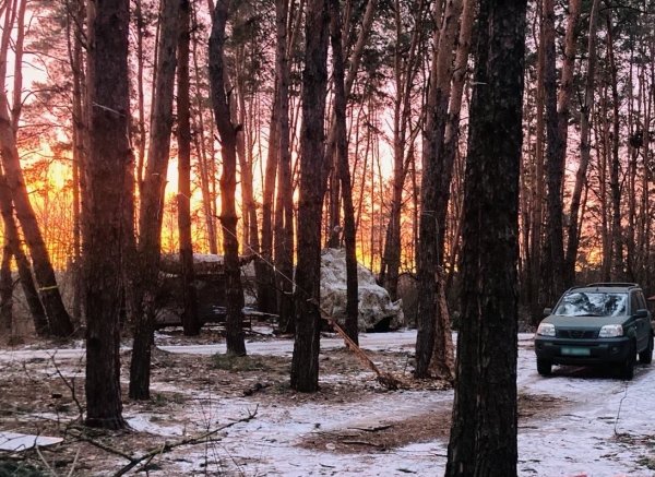 Deník N tweet media