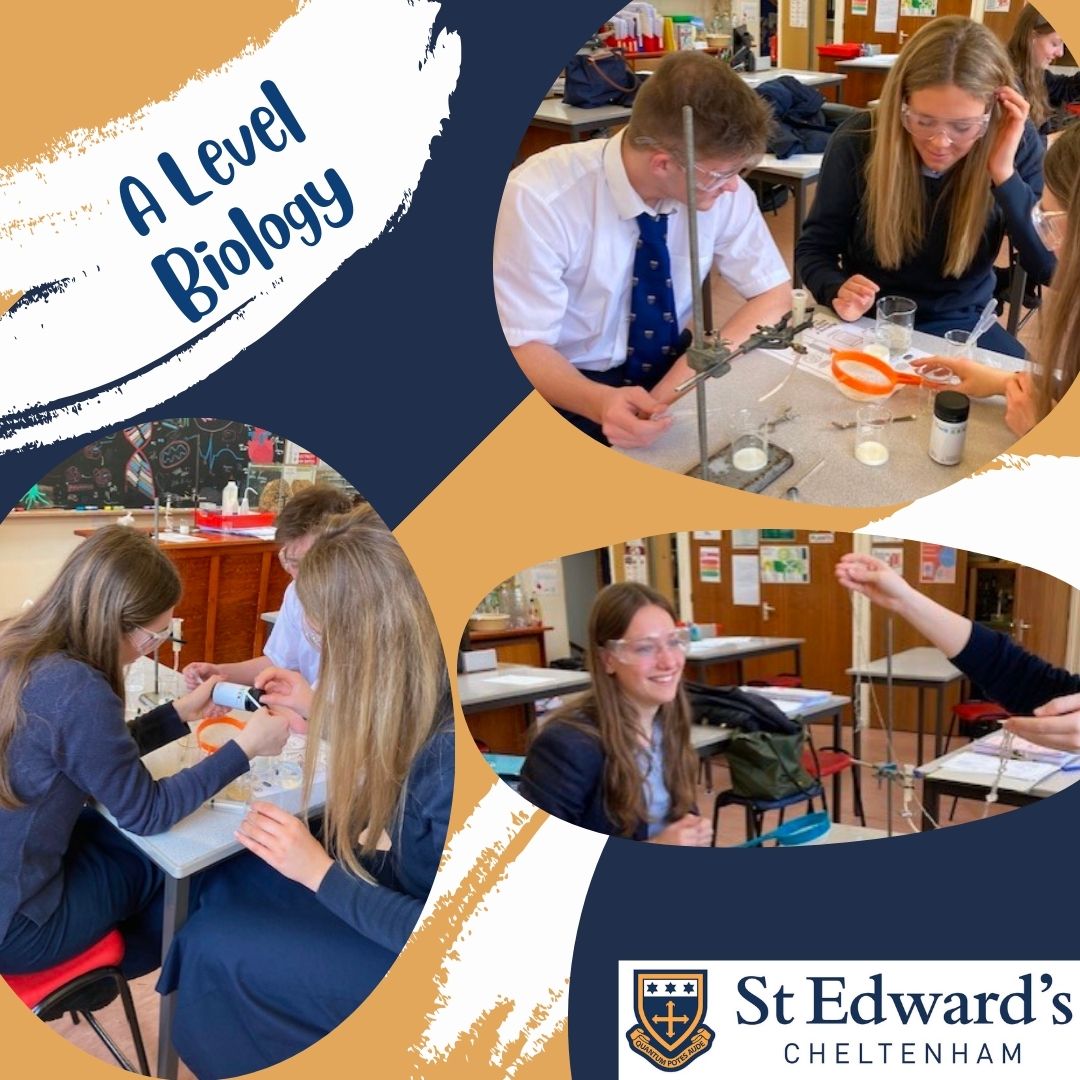 StEdwardsChelt's tweet photo. The U6th Biologists carried out micro-scale industrial biotechnology when they immobilised enzymes to hydrolyse the lactose in milk. The process is used to create lactose-free milk for lactose-intolerant people and cats. Outstanding work U6th!
#SECScience #SEC6thform https://t.co/DTuLz6UBwV