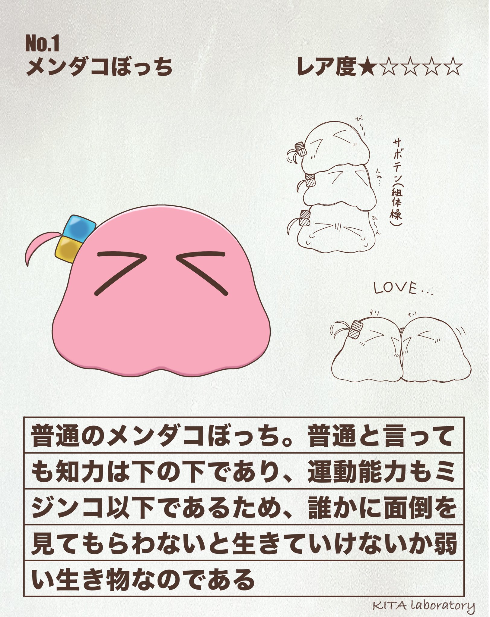 メンダコ!ページです。 さんぱい on X: 