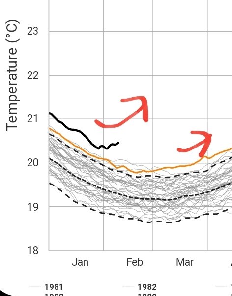 UNPRECEDENTED!!

Never in known climate history has Atlantic Ocean begin to systematicaly warm in end of January - beginning of February. Usualy is happens in mid-late March. 

Expect UNPRECEDENTED weather extremes in Europe.

Aerosol termination shock ongoing.
