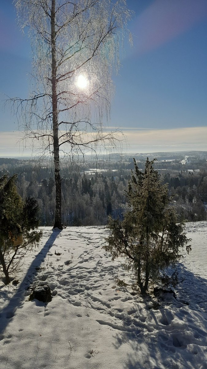 Jukka Forsström (@juki10000) on Twitter photo 