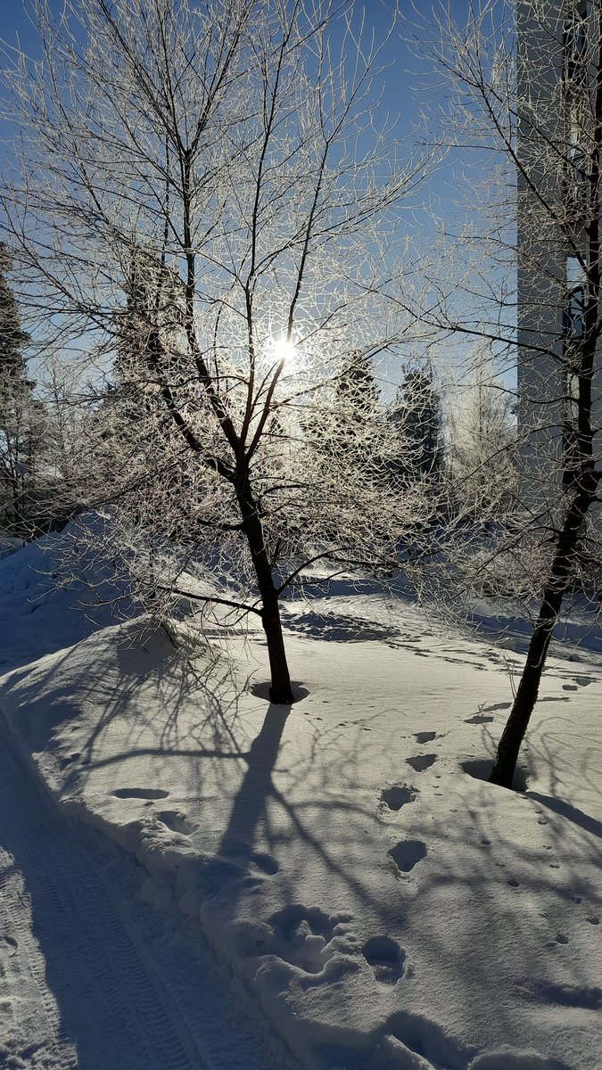 Jukka Forsström (@juki10000) on Twitter photo 