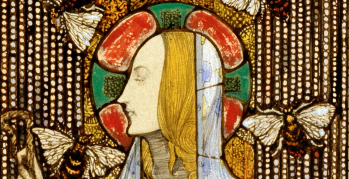 NMIreland's tweet photo. Today 11 February is the feast day of St Gobnait, the patron saint of bees &amp; beekeeping. 

The Murmur of Bees exhibition, National Museum of Ireland -CountryLife #Mayo celebrates the magic of Ireland’s bees and their vital role in nature. 

https://t.co/0kAIRDmcaE https://t.co/R4vFyrjplb
