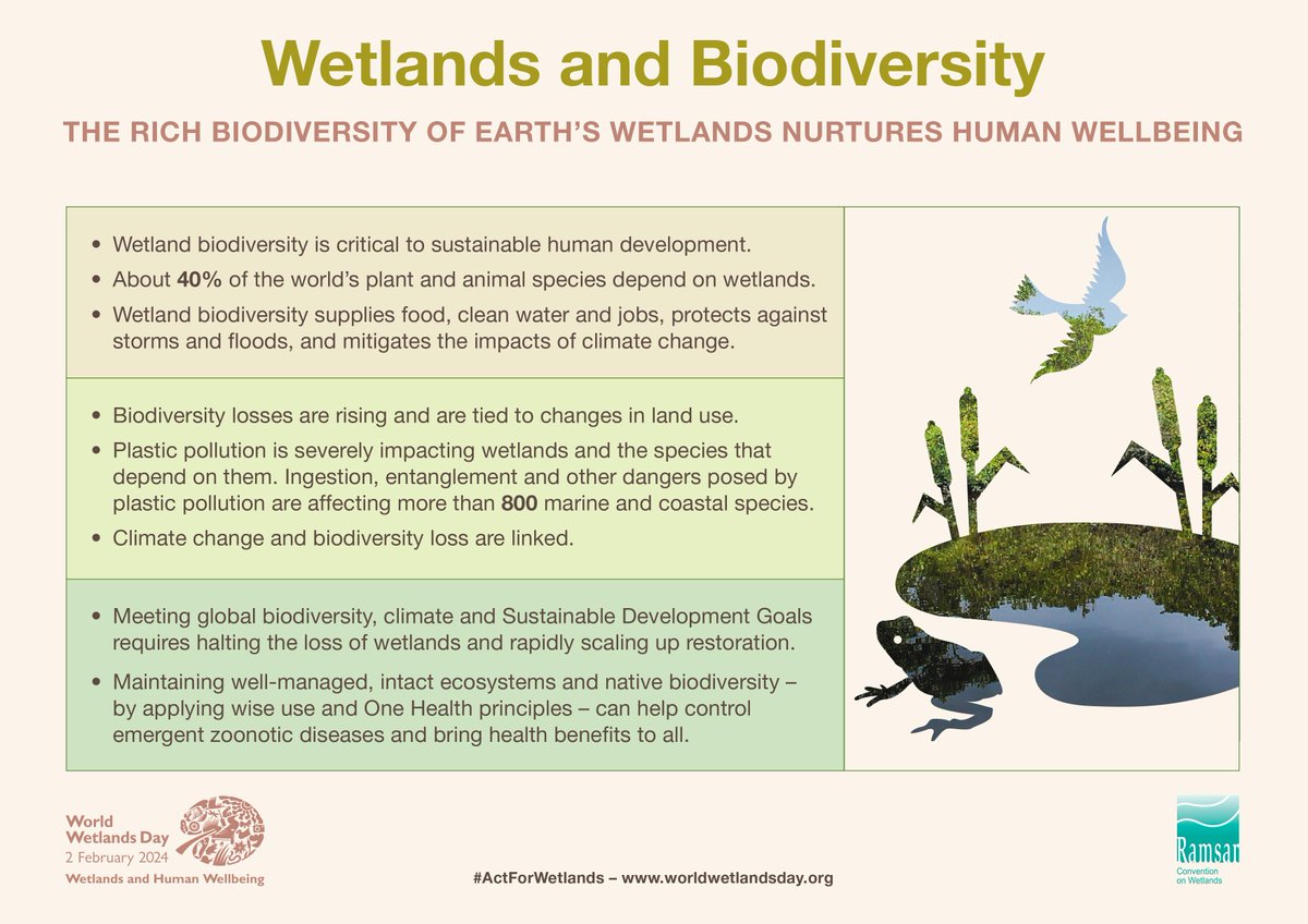 Wetlands are rich reservoirs of biodiversity that are vital for humanity and nature to thrive.

⚠️ Yet 25% of wetland species are now threatened with extinction.

worldwetlandsday.org

#ActForWetlands
