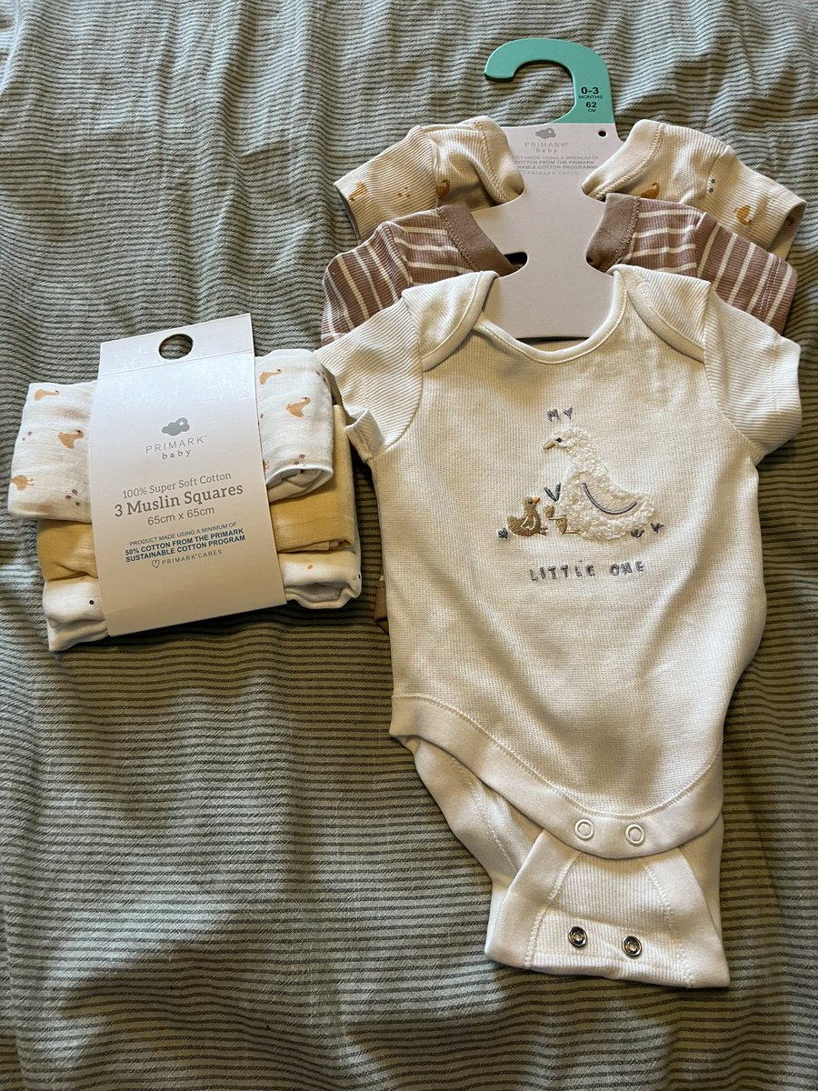 KXRRIEANN's tweet photo. August 2024 🍼🐣🦁 https://t.co/VF2EE71UTM