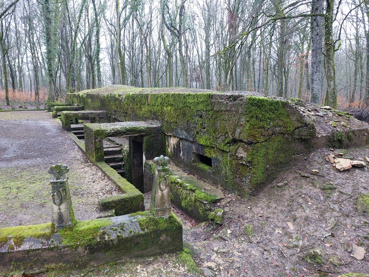 Beth Moore tweet media