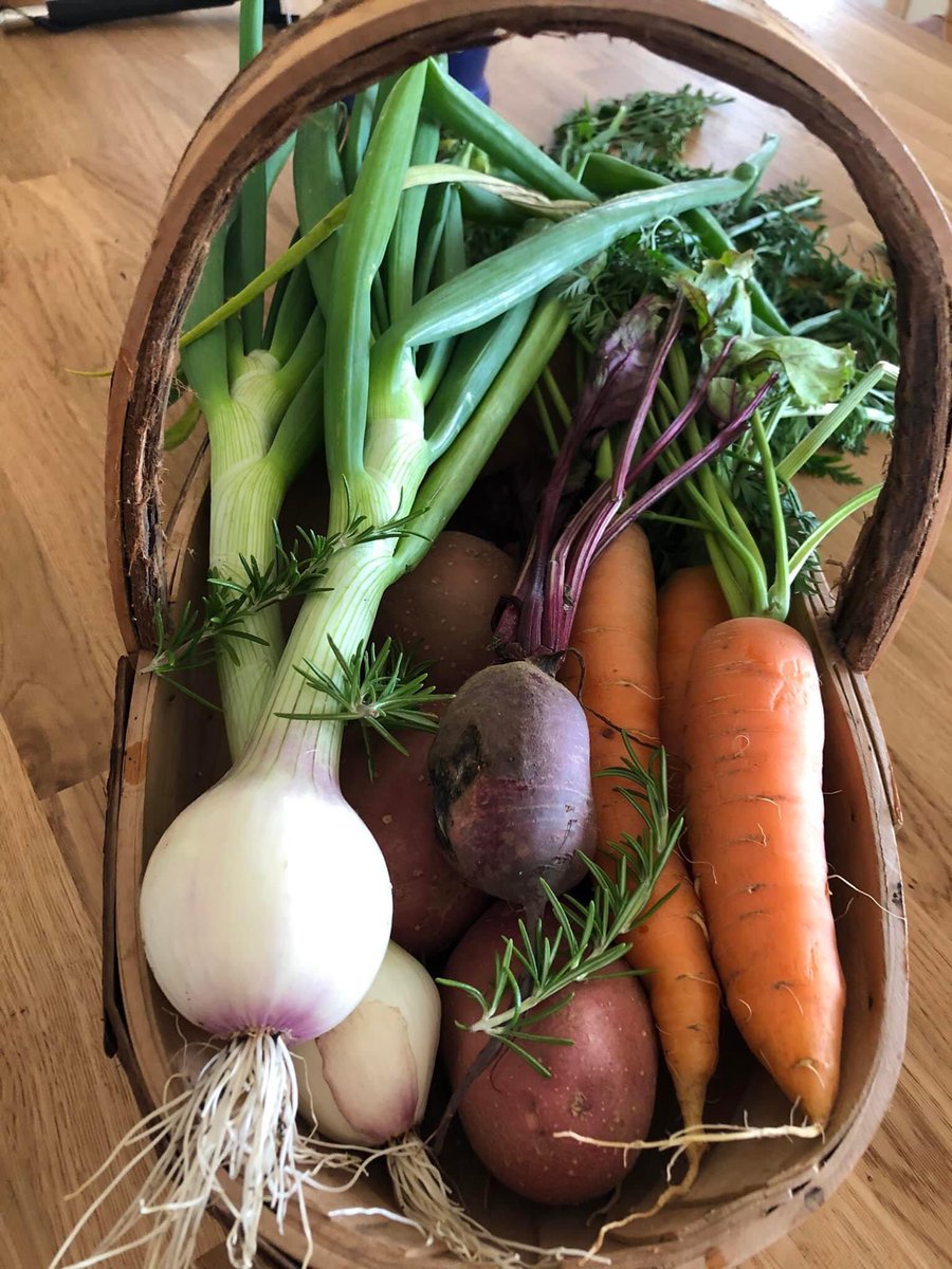 bellevuefarmco1's tweet photo. Look whatโs arrived!! Just as weโre finishing last years veg.
Love it how our holiday visitors can pick and cook a meal made 100% from Bellevue produce!!๐ฅฉ๐ฅ๐ฅ๐ฅ๐ฅฌ
#farmtofork #localproduce #visitarran #calmac https://t.co/VqqPSwYe0j