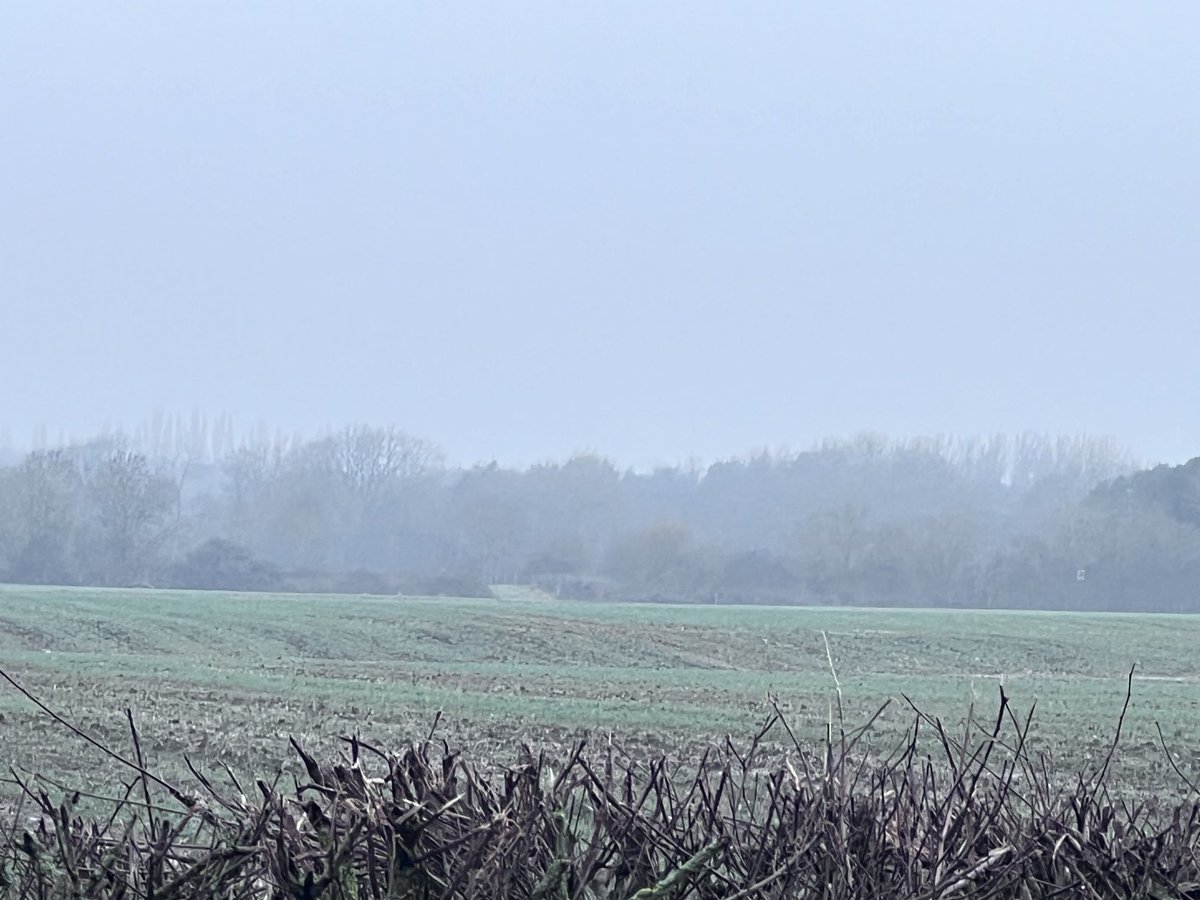 Misty moodboard on this #morningrun ⁦@stevewashbourne⁩ ⁦@RavyGabrria⁩ ⁦@wi_john⁩ #selfcaresundays