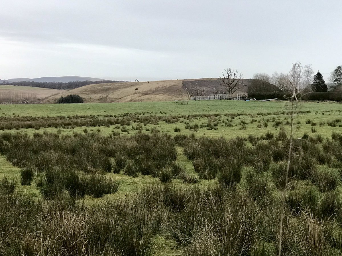 coal_legacies's tweet photo. Former Meadowhill opencast coaling site #Forestmill #Clackmannanshire viewed from Piper Pool worked from the mid 1990s until 2003 landscaped to resemble the original drumlin landform - it’s no good you can’t disguise a #bing
#coal #miningheritage #industriallandscape #explore https://t.co/GVVthppIOQ