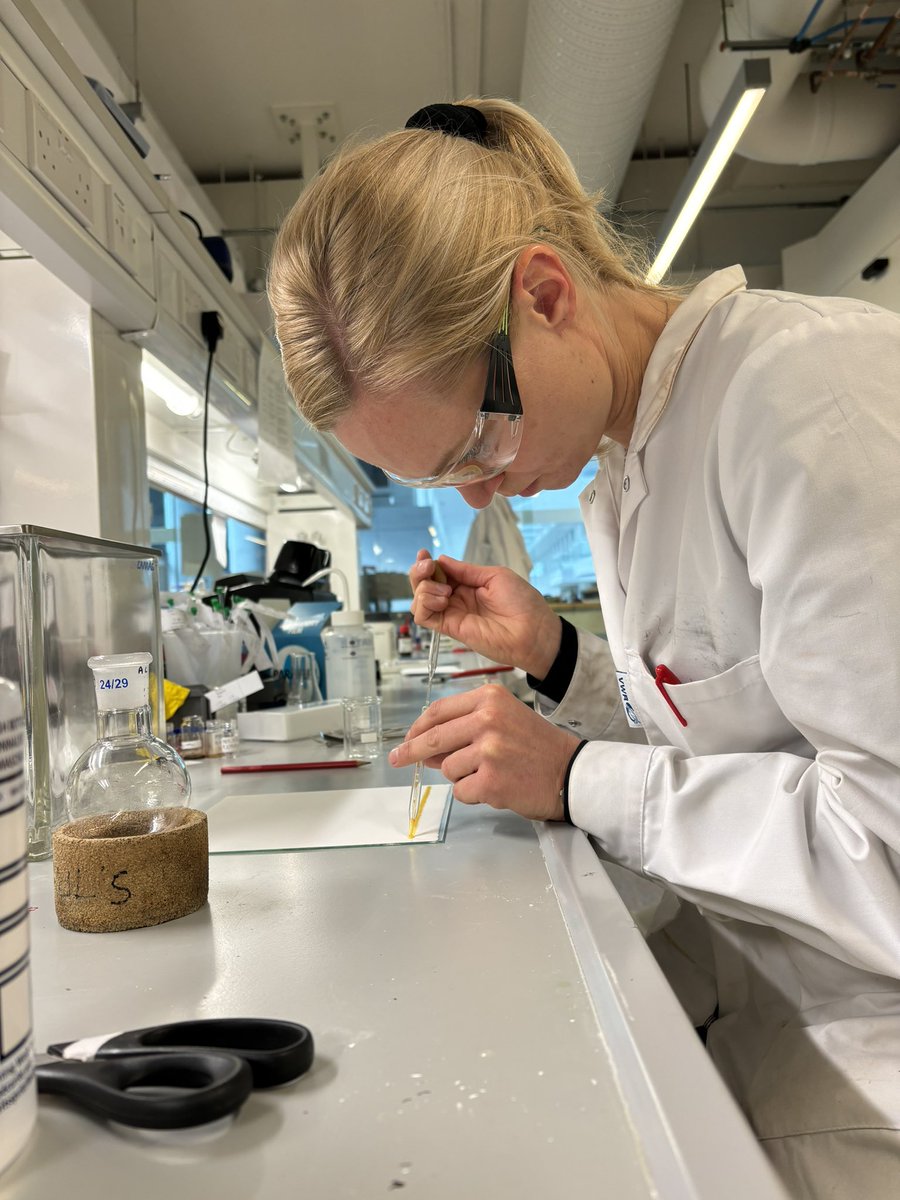 Marianne Haarr👩🏼‍🔬🇳🇴🇮🇪 tweet media