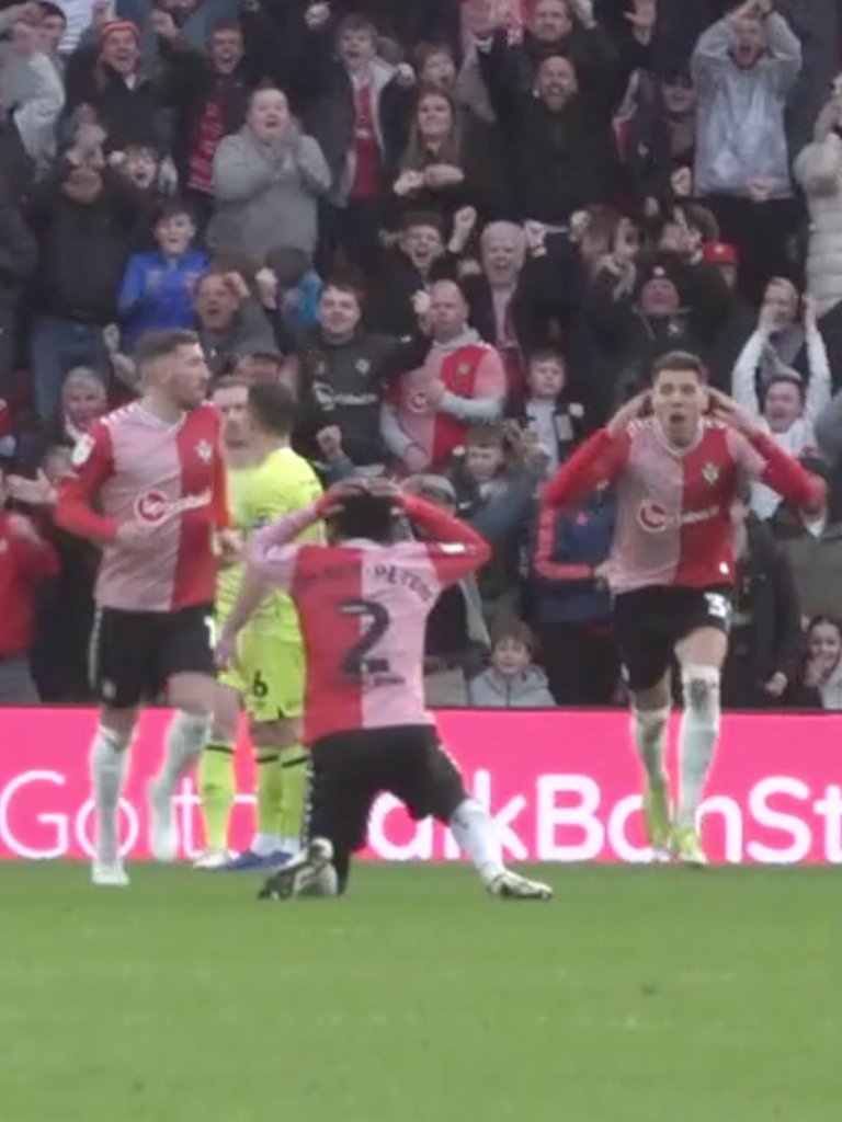 Southampton FC tweet media