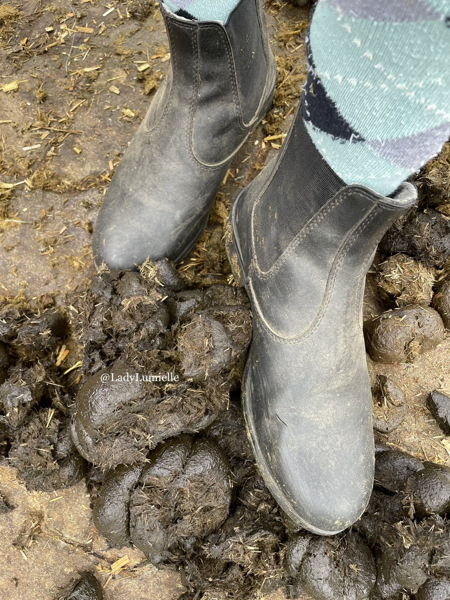 Bei diesem Anblick wirst du ganz zittrig, ich weiß 😈steck deinen Kopf hinein und genieße. Währenddessen erfülle ich mir meine Wünsche mit deinem Geld!