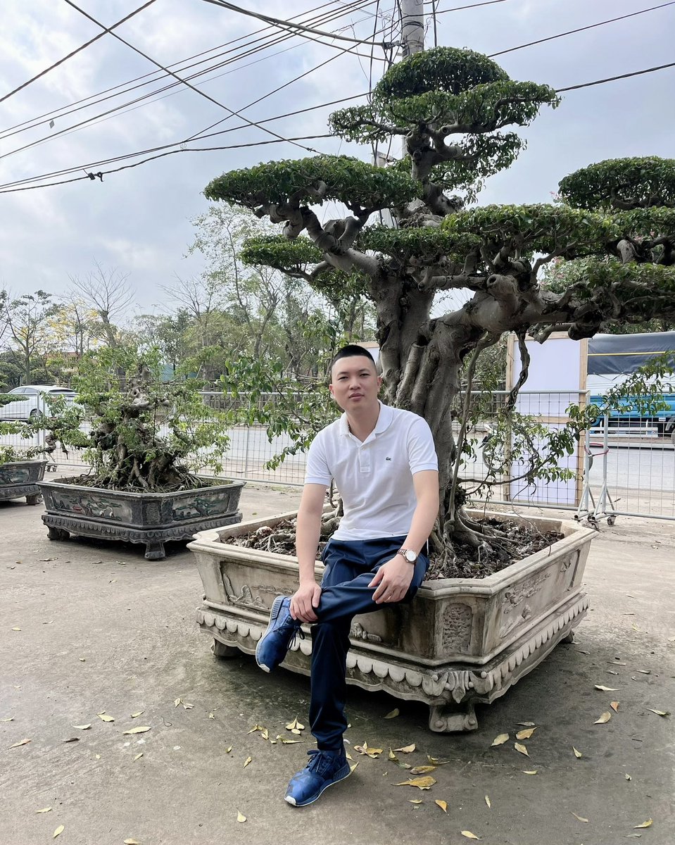 Bờm tweet media