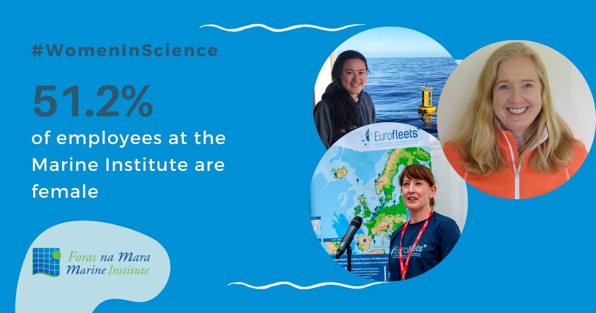 Marine Institute tweet media