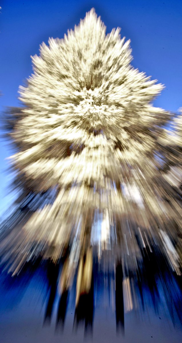 Gammal Nordisk kombination 🇸🇪 🇫🇮 🇳🇴 tweet media