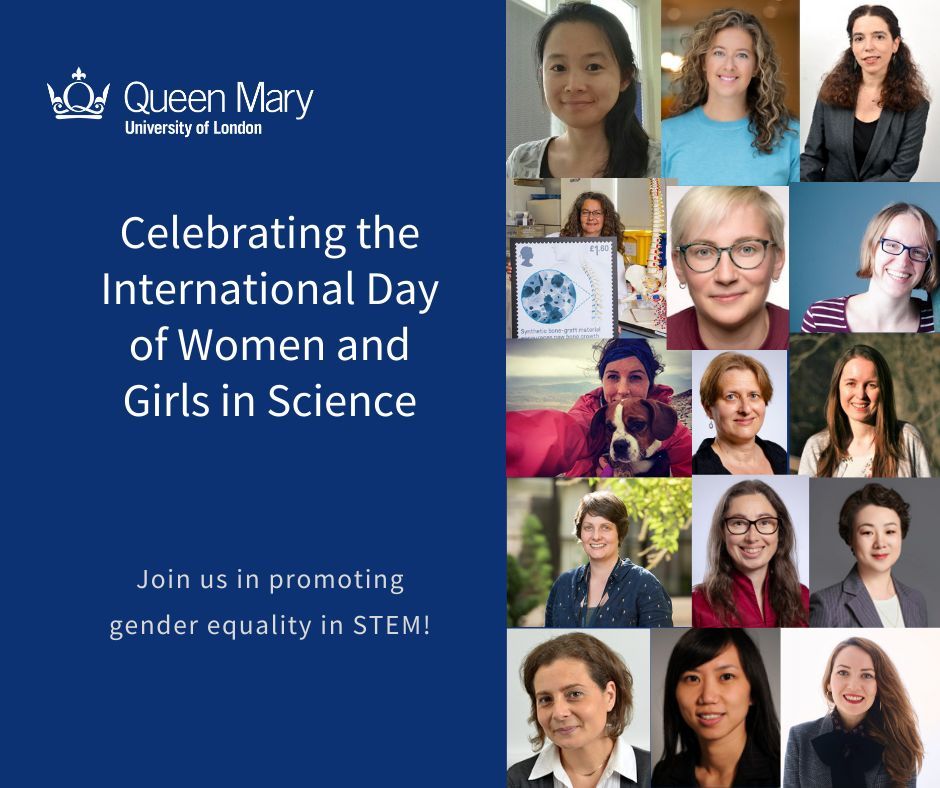 QMULSciEng's tweet photo. Today, on the International Day of Women and Girls in Science, we shine a spotlight on the incredible women at @QMUL who are leading the way in their fields! https://t.co/df8Or3Z9NF
