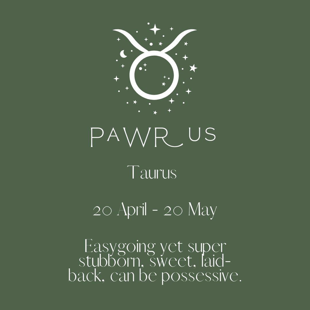 The next #CatStarSign is 'Pawrus'! ♉ In human terms, the Taurus! If your kitty was born between April 20 and May 20, they're a Pawrus! Does this sound like your kitty? ✨ 📷 Watch the full video here: youtube.com/watch?v=t92tE0… #Catster #cathoroscope #starsigns #catstarsigns