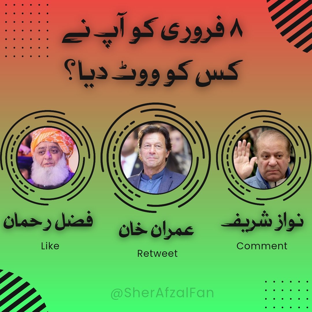 ۸ فروری کو آپ نے کس کو ووٹ دیا؟