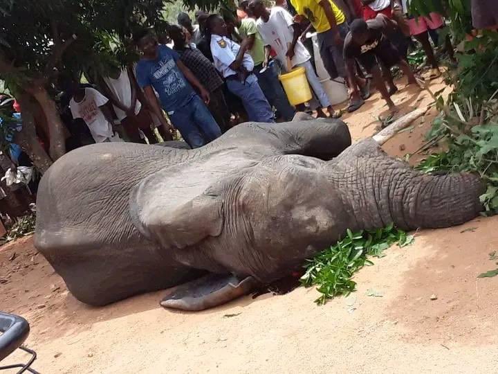 Promise ♤ tweet media