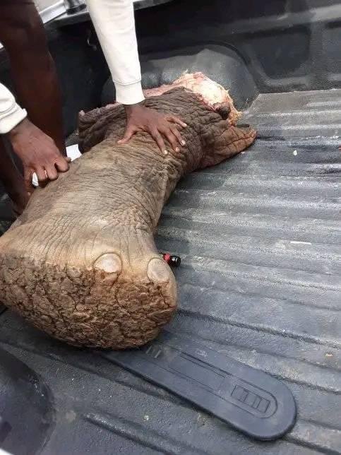 Promise ♤ tweet media