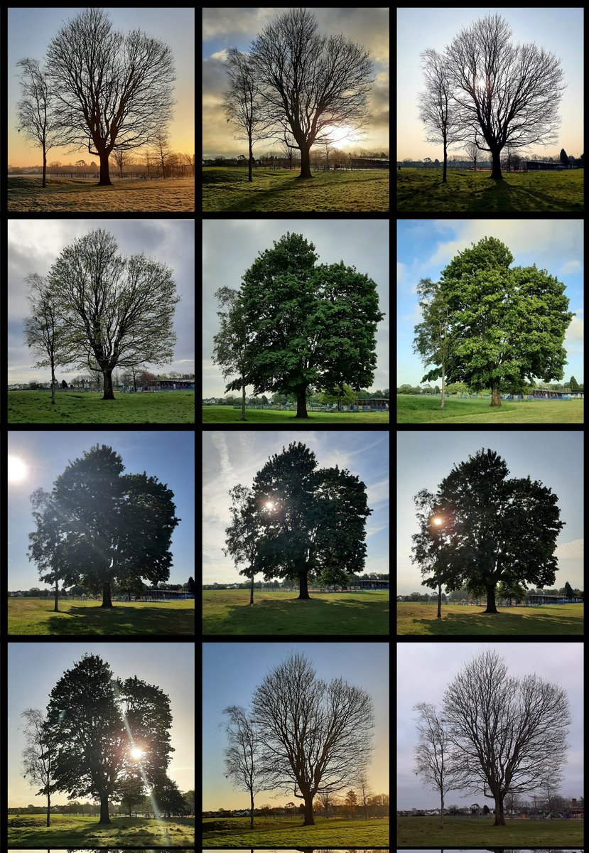 Jo Patterson tweet media