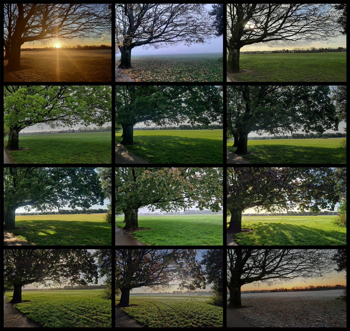 #1park #2trees #4seasons #12months