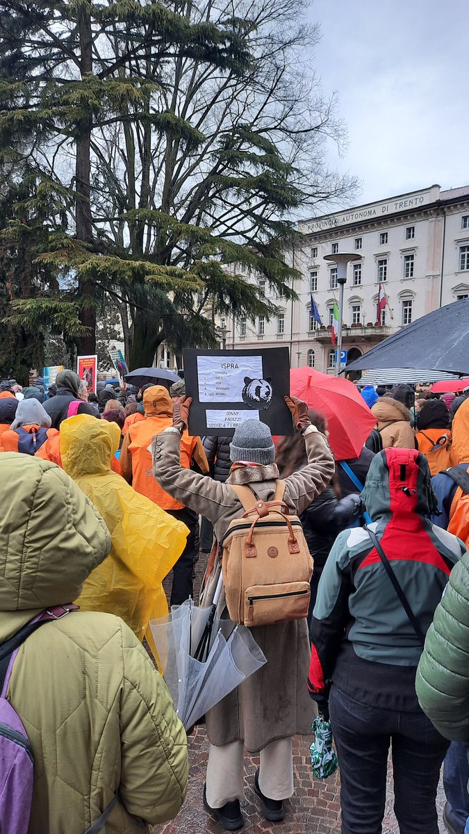 SkyLaGatta's tweet photo. @BitterSylv16359 Yesterday, more than a thousand Italian animal rights activists marched in Trento to protest against brutal bear killing 🐻 #StopCasteller https://t.co/bhcGZtcOUA