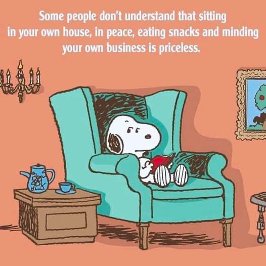 IrenaBuzarewicz's tweet photo. #sundaywithsnoopy https://t.co/MCfFetGcoX