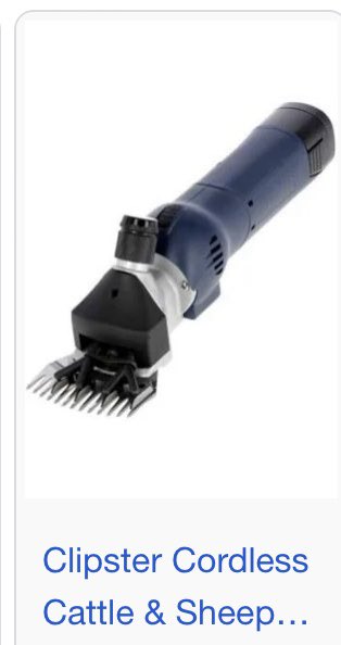 Conor Whelan tweet media