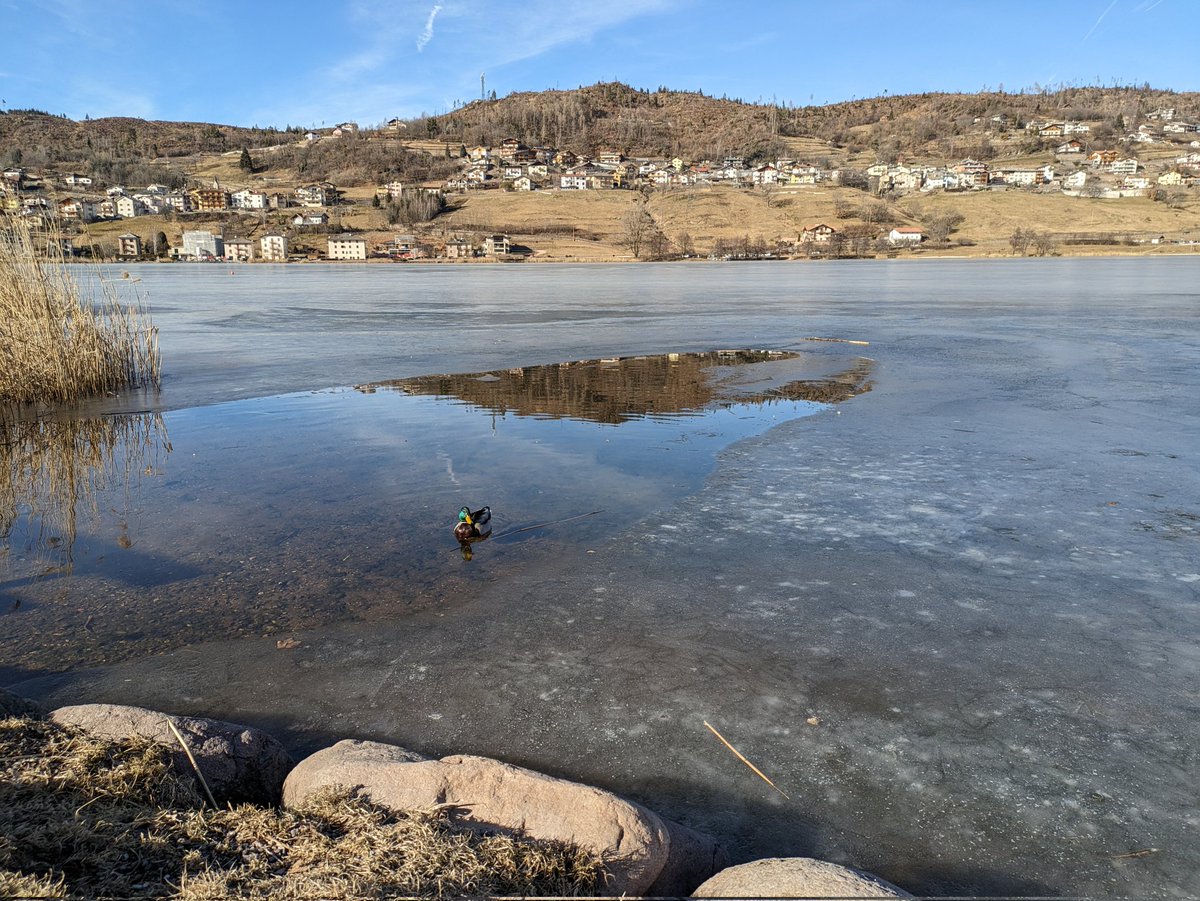 max_srg17's tweet photo. Lago ghiacciato di Piné TN https://t.co/u3kUNxSFRV