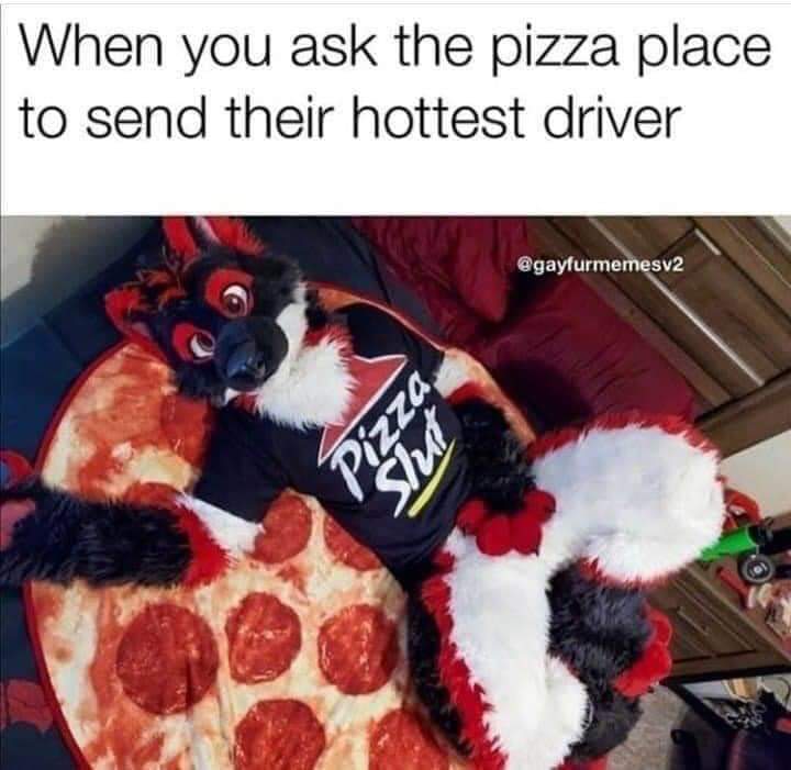 #furry #furrycommunity