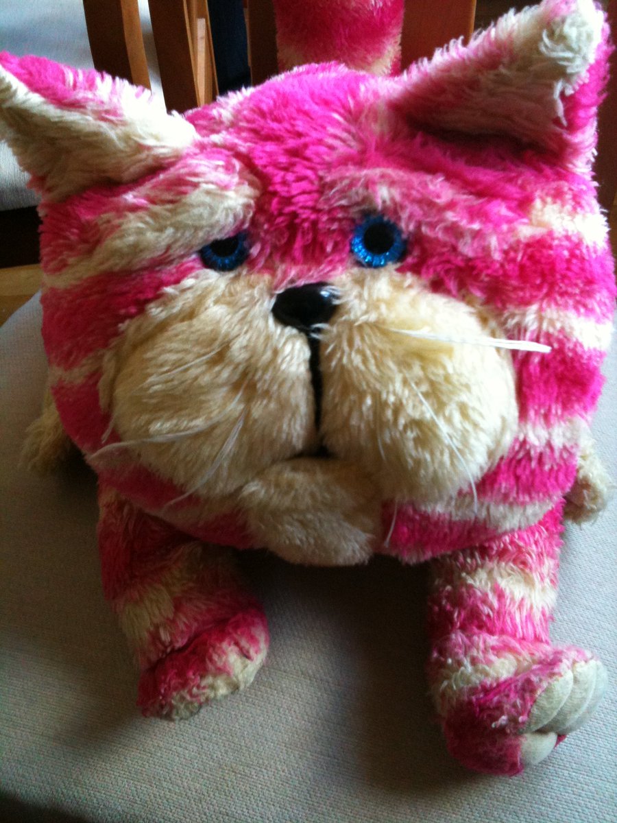 #HappyBirthday #Bagpuss 🎂🥳 @OfficialBagpuss you’ve no idea how much my hoomum loves you…….nearly (but not quite) as much as me I think 🤔😋🐾🐾 #HappybirthdayBagpuss #fatfurrycatpuss