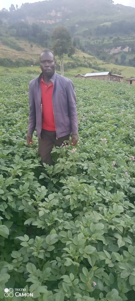 ianchemonges4's tweet photo. Potato 🥔 crop field under Yara nutrition program.
Location: Twenge, kween district pearl of Africa🇺🇬
@YaraKenya @MAAIF_Uganda @MFarmguard @diangaronald 
#MboleaNiyara
#knowledgegrows
#Sustainability https://t.co/g0zgCXX3wY