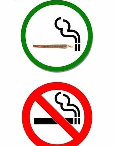Regras da minha casa