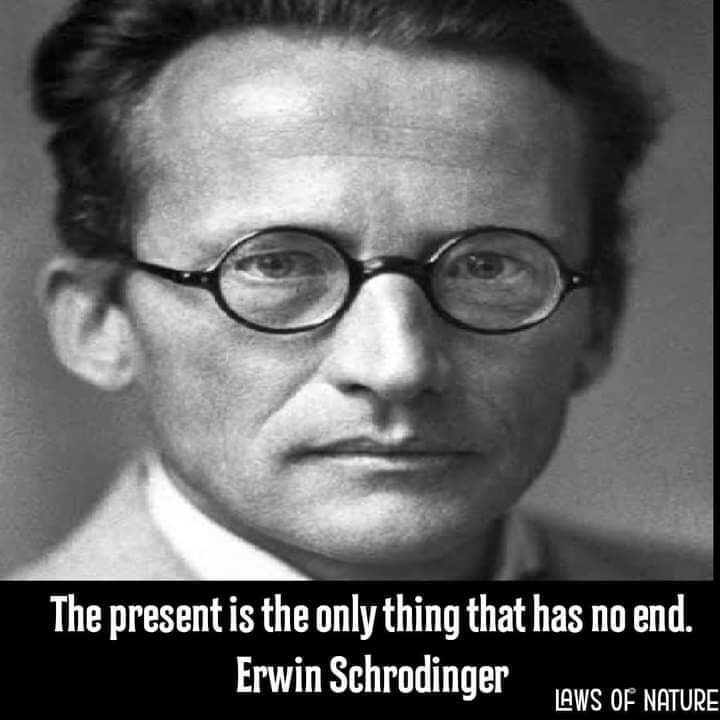 delia armstrong busb (@advbusb) on Twitter photo 