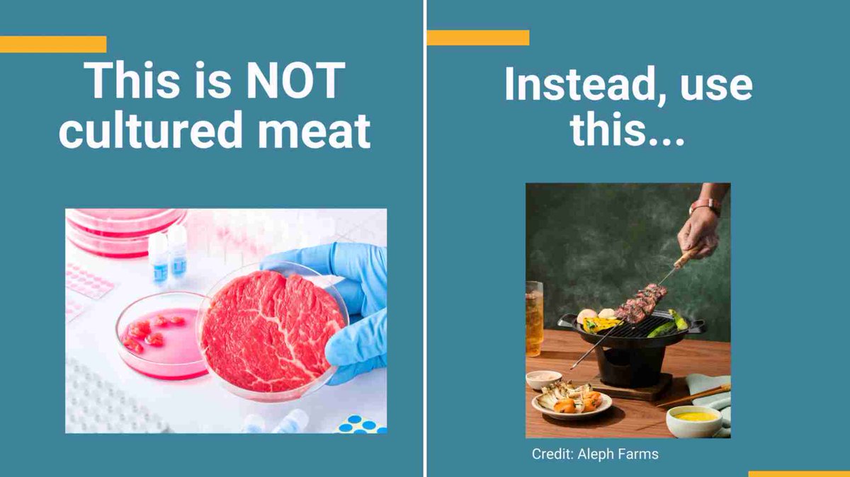 📷 Instead of using cliché stock photos of mince meat in petri dishes to depict cultivated meat, let's use accurate images of real products.

Credits: @jgryall

#bioeconomy #altprotein #biotech