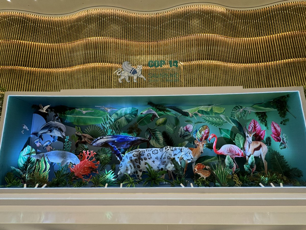 Dr Winifred F Frick (@frickwinifred) on Twitter photo Beautiful display celebrating #migratoryspecies at the #CMSCOP14 - but it’s missing a #bat! #NatureKnowsNoBorders <a href="/BatConIntl/">Bat Conservation International</a> <a href="/GlobalBatNet/">Global Union of Bat Diversity Networks (GBatNet)</a> Beautiful display celebrating #migratoryspecies at the #CMSCOP14 - but it’s missing a #bat! #NatureKnowsNoBorders <a href="/BatConIntl/">Bat Conservation International</a> <a href="/GlobalBatNet/">Global Union of Bat Diversity Networks (GBatNet)</a>