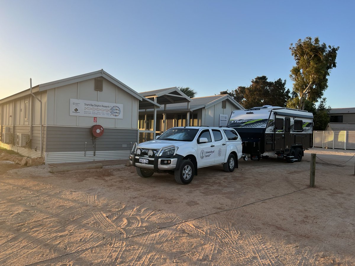 Michael Krützen (@krutzenmichael) on Twitter photo Planning our field work for 2024 <a href="/ResearchDolphin/">Shark Bay Dolphin Research</a>. Stay tuned for field updates. <a href="/DirkHartogIs/">Dirk Hartog Island</a> <a href="/monkeymiaresort/">Monkey Mia Resort</a> <a href="/UZH_Science/">UZH Science</a> <a href="/BristolBioSci/">University of Bristol Biological Sciences</a> Planning our field work for 2024 <a href="/ResearchDolphin/">Shark Bay Dolphin Research</a>. Stay tuned for field updates. <a href="/DirkHartogIs/">Dirk Hartog Island</a> <a href="/monkeymiaresort/">Monkey Mia Resort</a> <a href="/UZH_Science/">UZH Science</a> <a href="/BristolBioSci/">University of Bristol Biological Sciences</a>