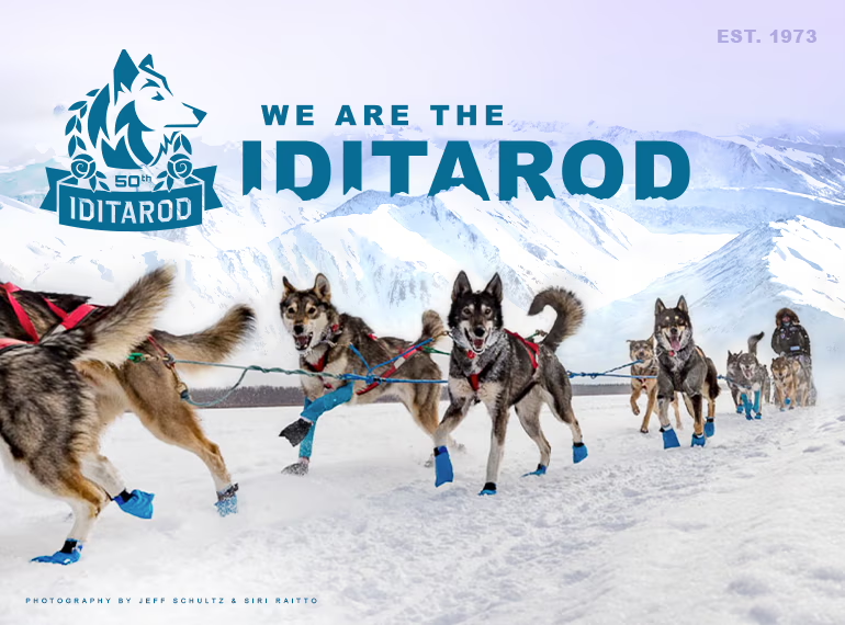 CagesFree's tweet photo. For 50 years, the Iditarod has been able to remain The Last Great Race on Earth through the support of donors and volunteers. https://t.co/mupwNXtOc8 https://t.co/c3ykushKkB