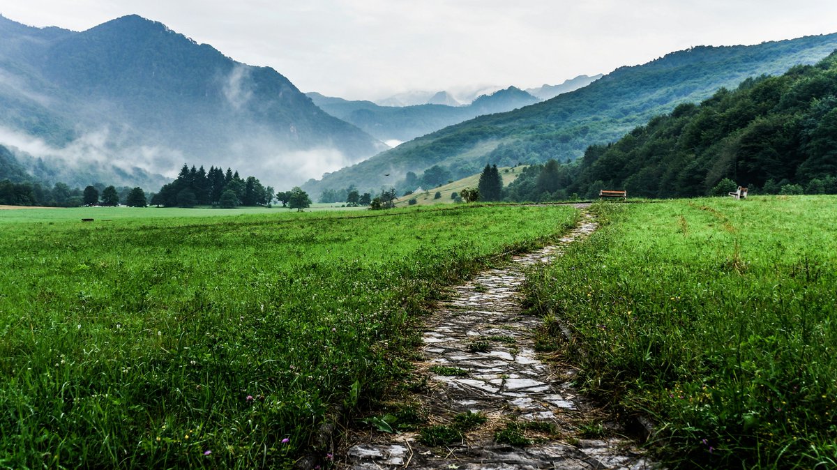 Fear is not an obstacle to happiness; it's a path to it. 

By facing our fears, we clear the way to deeper joy and fulfillment. 

Let's walk this path with courage.
 #FearIsAPath #CourageousLiving