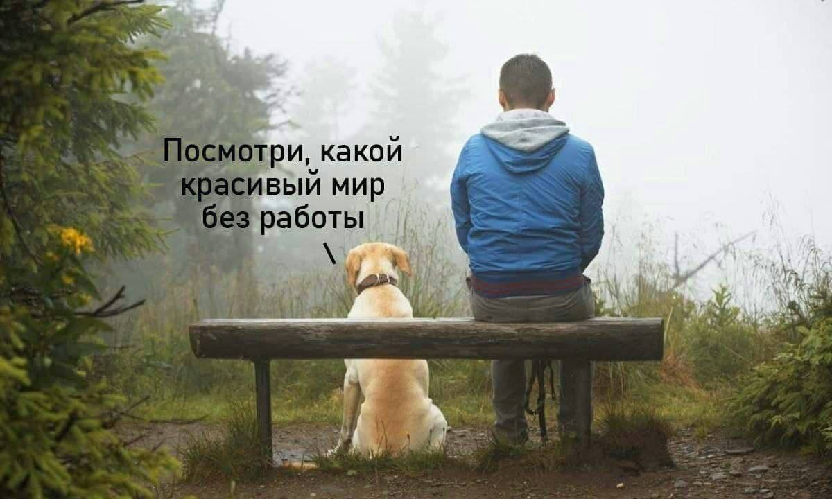 🐸жабья принцесса👑 (@kxiq7u7oc8nsgnc) on Twitter photo 