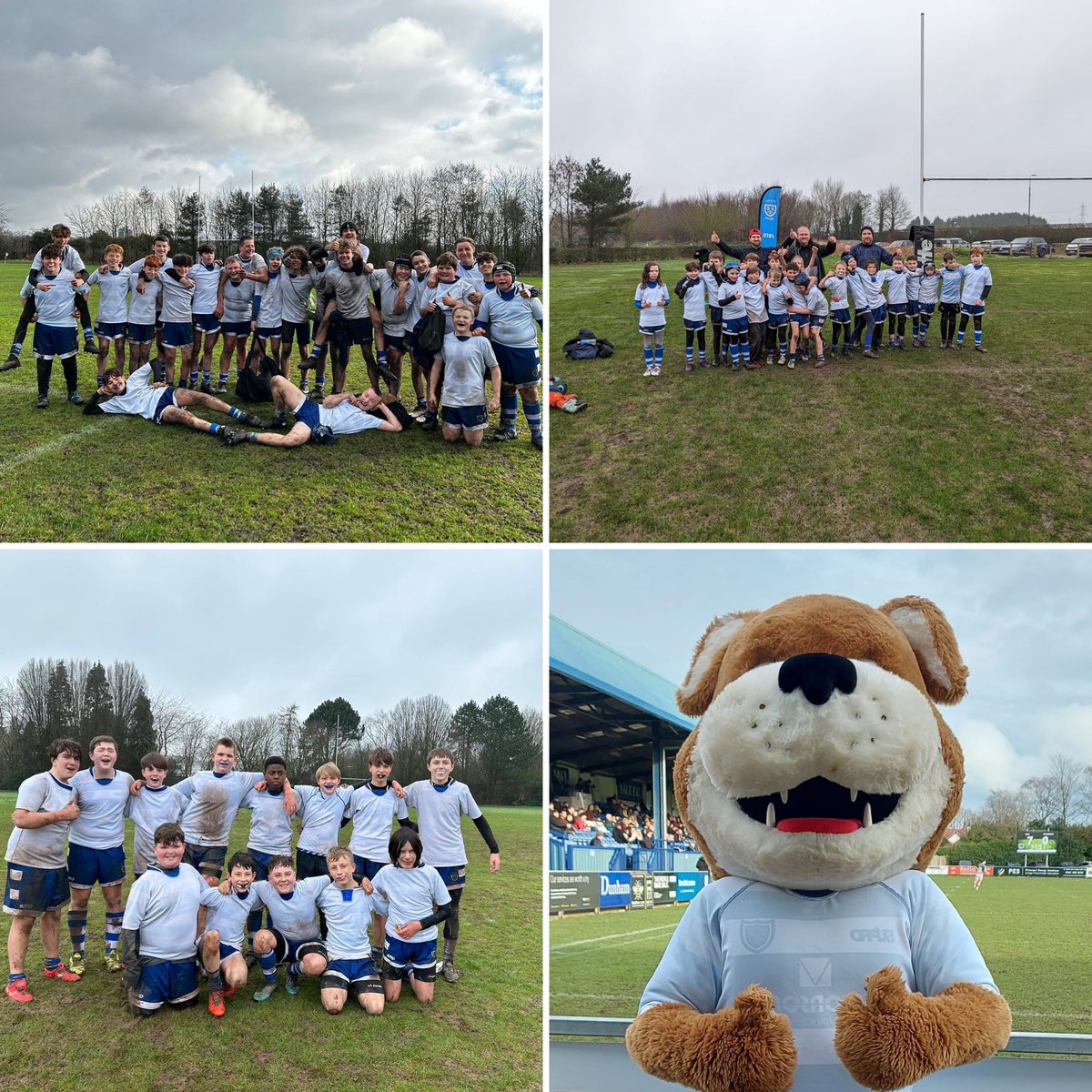 Sale FC Rugby Colts tweet media