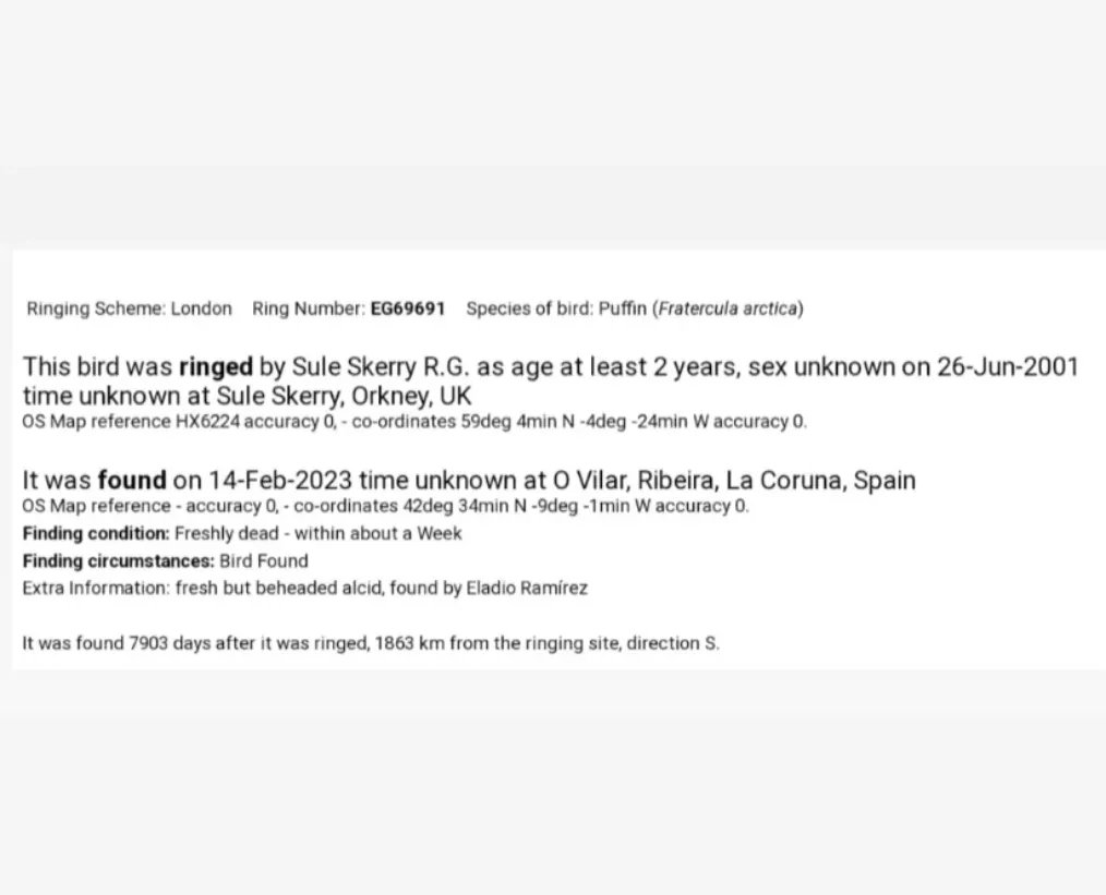 O anelamento é unha ferramenta imprescindible no estudo das aves, dando unha información sobre os seus movementos migratorios.